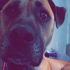 Meet your Posher, Mckayla